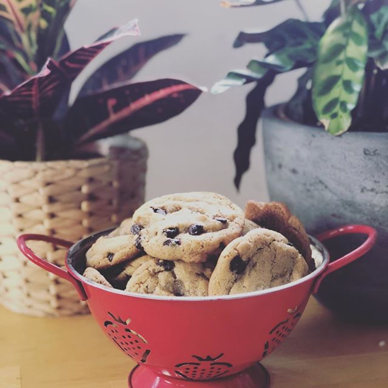 The Only Chocolate Chip Cookie Recipe You'll Ever Need